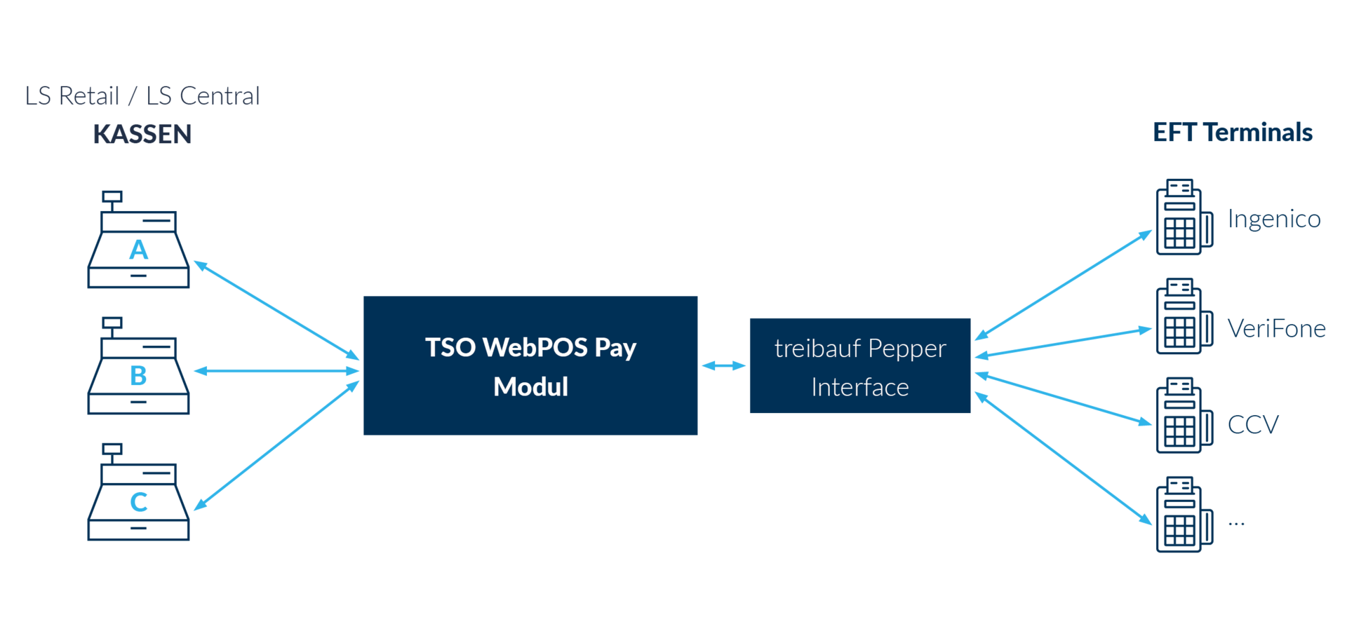 How does TSO WebPOS Pay work?