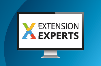 Fachforum Extension Experts